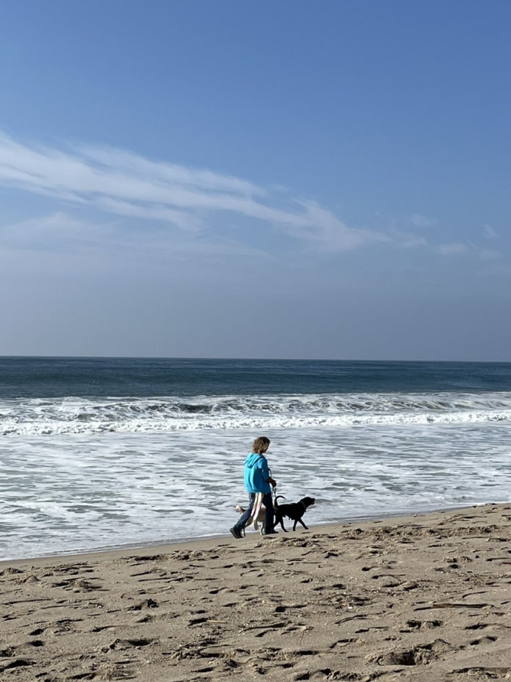  [미국] LA 베니스비치 Venice Beach