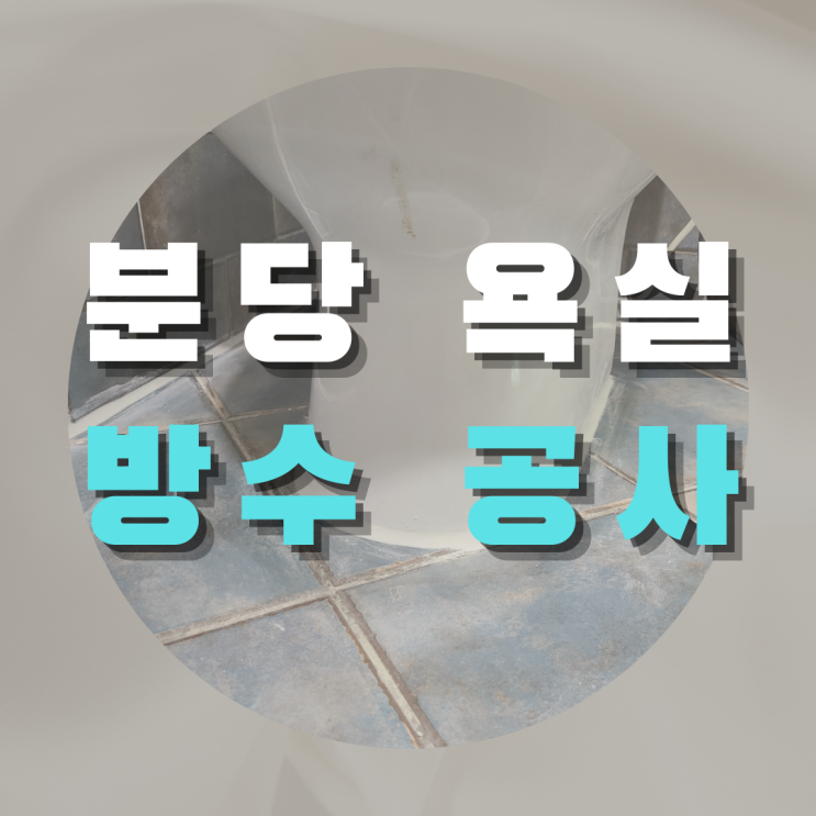  분당 욕실 방수 공사 - 원인부터 해결까지