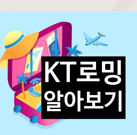 KT 데이터로밍 요금제 가격 사용 해외로밍 방법 + 일본여행 도쿄 실제 사용 후기