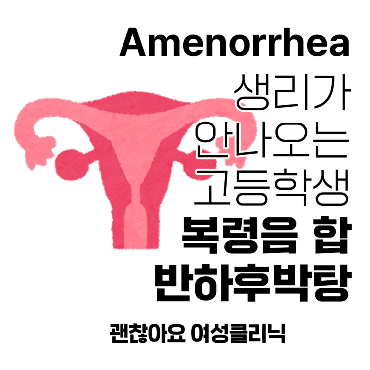  생리를 안 해요 속발성 무월경 괜찮아요한의원 마포 여성클리닉