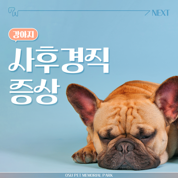  강아지 사후경직 증상 알려드립니다.