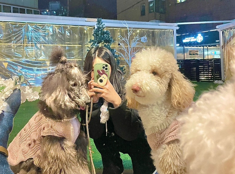 사진 5