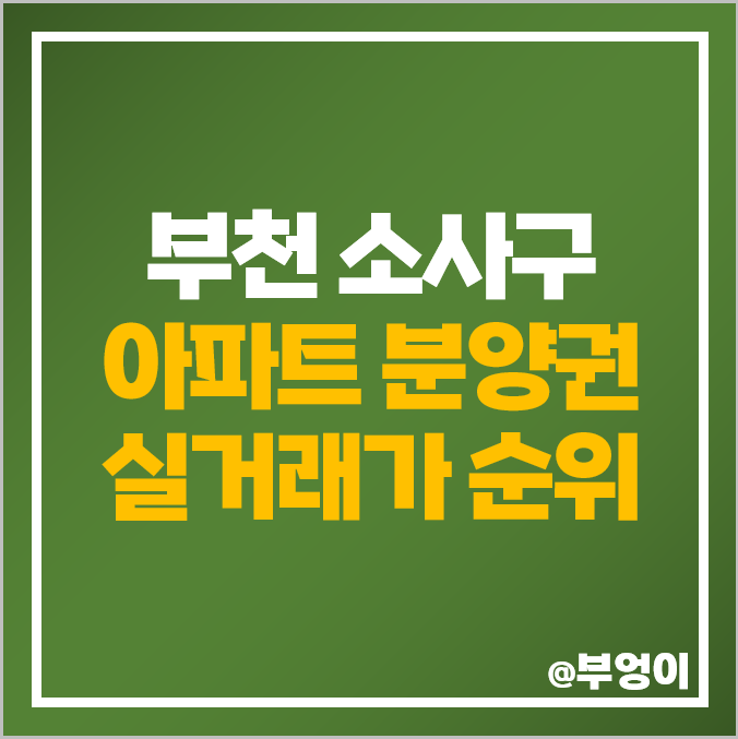 부천시 아파트 분양권 매매 가격 순위 힐스테이트 소사역 부천 일루미스테이트 시세 부천시 아파트 분양권 매매 가격 순위 힐스테이트 소사역 부천 일루미스테이트 시세