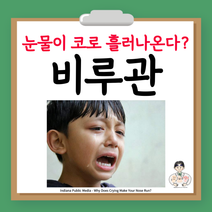  비루관 코눈물관, 울면 눈물 콧물 동반되는 이유