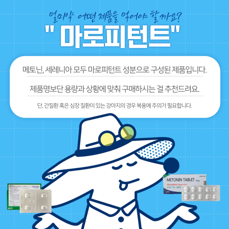 메토닌/세레니아 :: 강아지 구토 완화를 위한 안전한 선택, 정다운동물약국에서 함께해요.