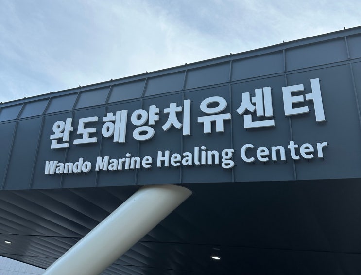  완도 해양 치유센터 프로그램 후기
