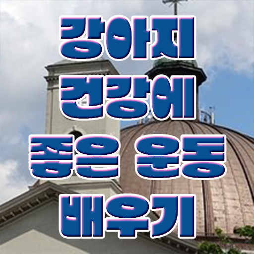  반려견운동지도사 자격증 온라인 취득 알려드립니다 .