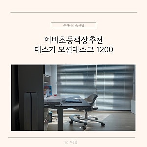 데스커 책상 책장 모션데스크 1200 시디즈 링고 의자 6개월 사용후기