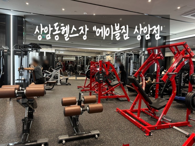 [상암동헬스장,상암동PT] 에이블짐 상암점 PT 및 이용 후기