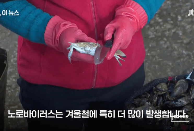  영하에서 살아남는 노로바이러스"추울수록 더 감염 잘 된다"