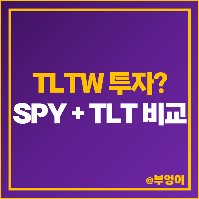 미국 국채 채권 커버드콜 TLTW 주가 TLT SPY ETF 투자 방법 추천