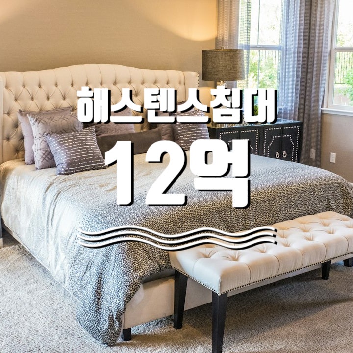  해스텐스 스웨덴의 12억원대 고급침대 제니, 아이유, 김연경도 사용