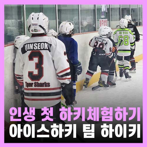  이색취미 체험 가능한 아이스하키 팀 하이키