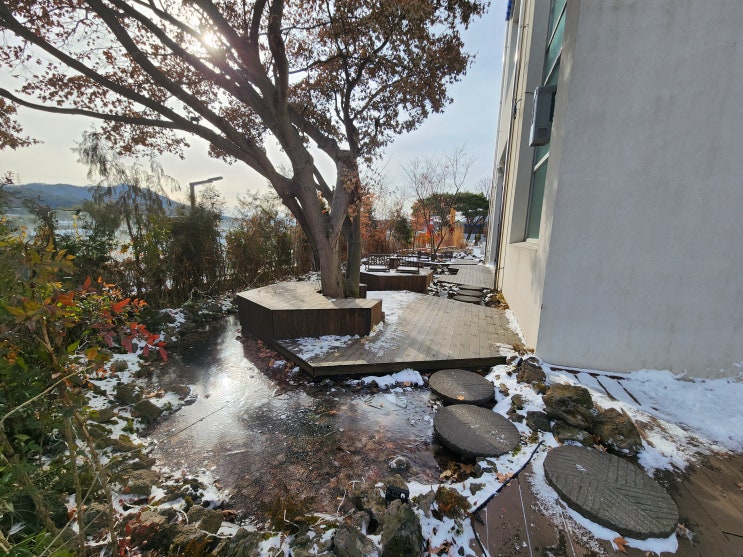 강원도 철원 카페여행으로 가볼만한 곳 단풍도넛카페 강원도 철원 카페여행으로 가볼만한 곳 단풍도넛카페