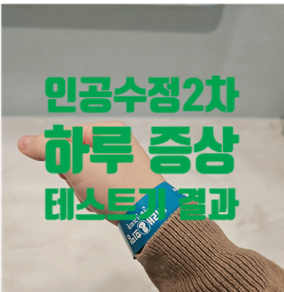  나주 난임 인공수정 2차 시술과 1일차~11일차 증상