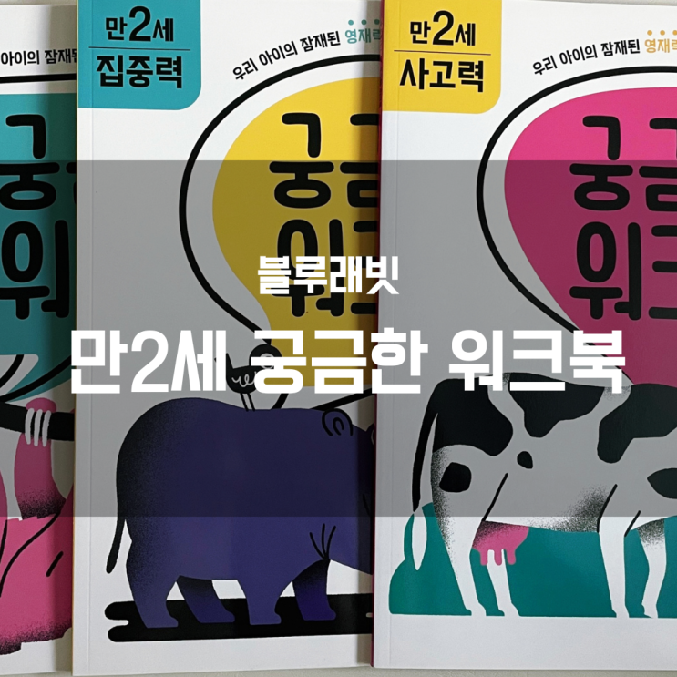  블루래빗 만2세 궁금한 워크북 내돈내산, 사용 후기