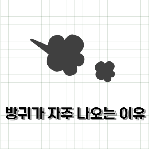  방귀가 자주 나오는 이유 (좋은음식 VS 나쁜음식)