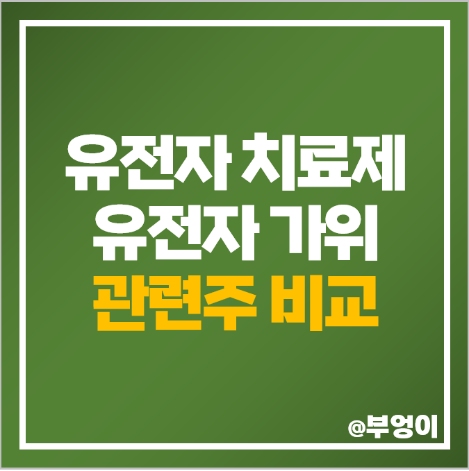 유전자 가위 관련주 치료제 주식 소마젠 툴젠 마크로젠 주가 유전자 가위 관련주 치료제 주식 소마젠 툴젠 마크로젠 주가