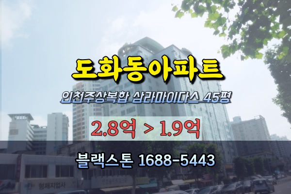  도화동아파트 경매 삼라마이다스 주상복합 45평
