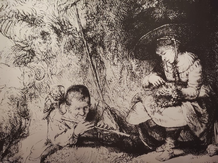[대구-삼덕동] '렘브란트 17세기의 사진가' 전시 관람, 대구미술관(대구실내가볼만한곳)