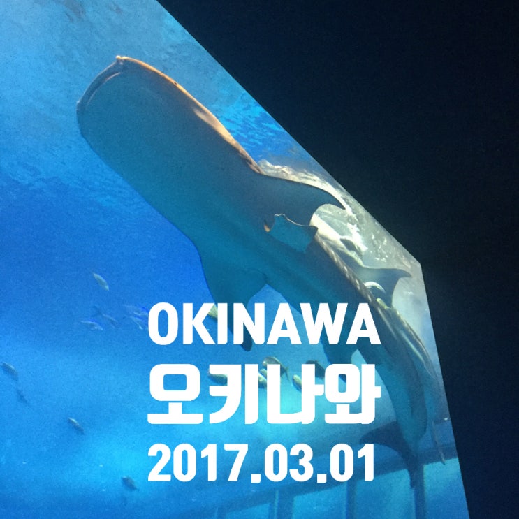 <b>오키나와</b> 여행 2일차(삼성라이온즈 <b>스프링캠프</b>/리잔씨파크호텔... 