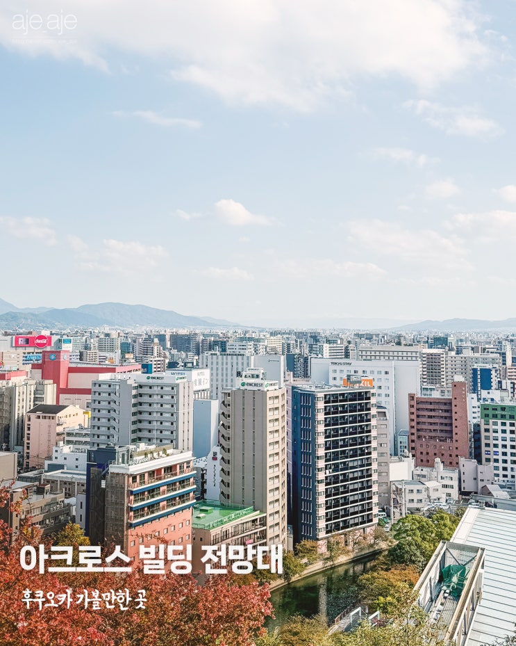  후쿠오카 여행 가볼만한 곳 텐진 아크로스 무료 전망대