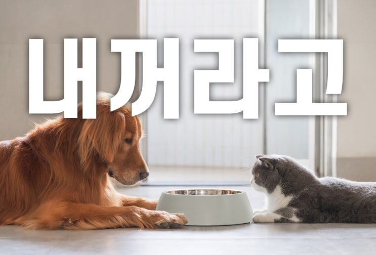 고양이 간식 강아지가 먹어도 될까?