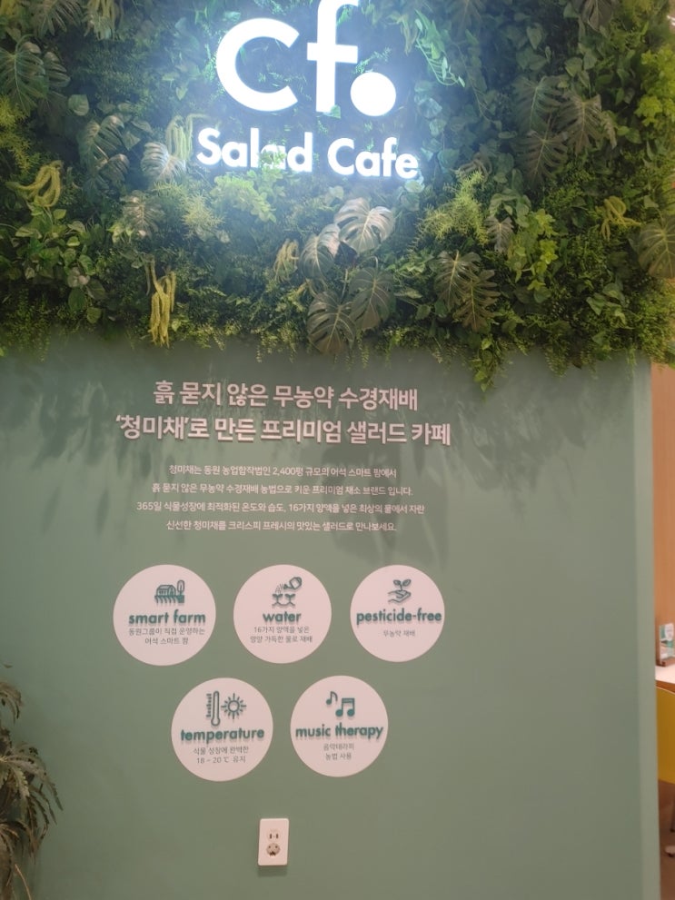  상암 샐러드집 크리스피프레시