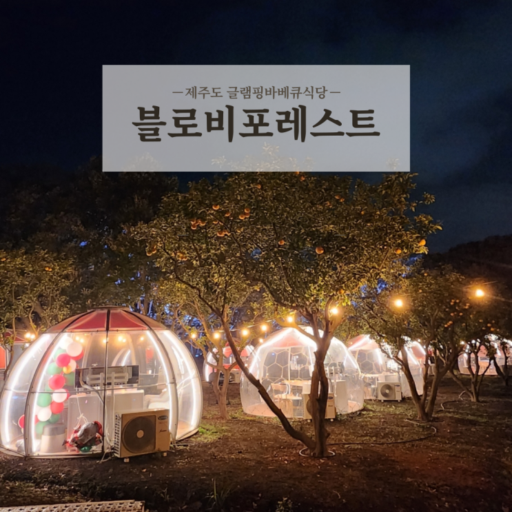  분위기 좋은 제주글램핑 감성캠핑바베큐 애견동반식당 블로비포레스트 노형점