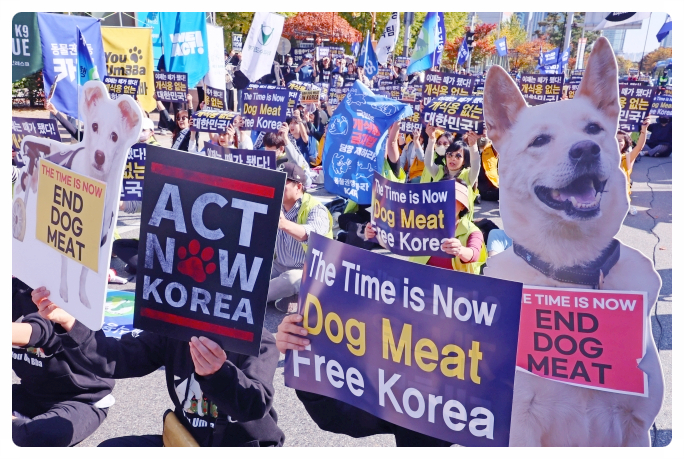 개 식용법 <b>법사위 통과</b> 위반시 벌금