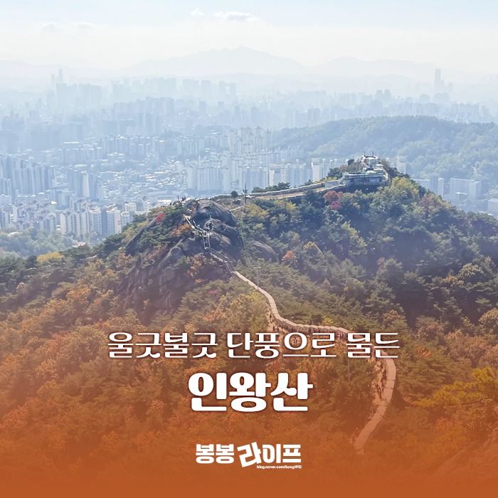 서울 종로구 인왕산 등산 - 토속촌 삼계탕 점심 후기