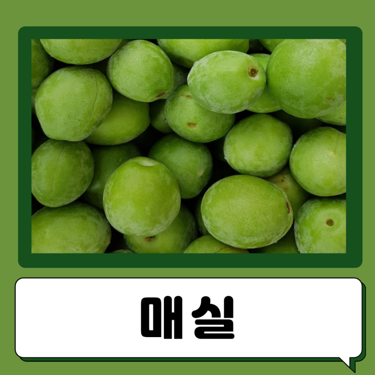  매실 효능 칼로리 부작용 배아플때 소화안될때 매실차 매실액