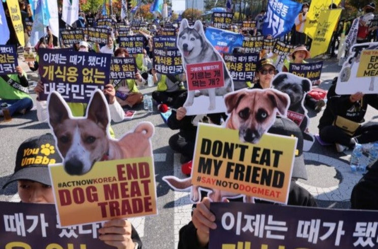 <실시간 핫이슈> '개 식용 금지법' 법사위 통과 식용 목적 도살에 최대 징역 3년 <실시간 핫이슈> '개 식용 금지법' 법사위 통과 식용 목적 도살에 최대 징역 3년