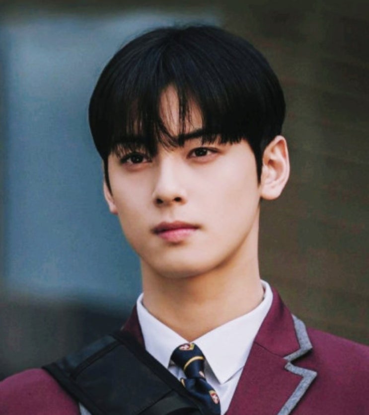 <b>차은우</b>, <b>상반기</b> 솔로가수 데뷔 '얼굴 천재'의 홀로서기