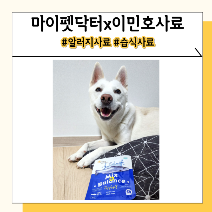 강아지연어사료를 찾는다면 마이펫닥터 이민호사료 강아지연어사료를 찾는다면 마이펫닥터 이민호사료