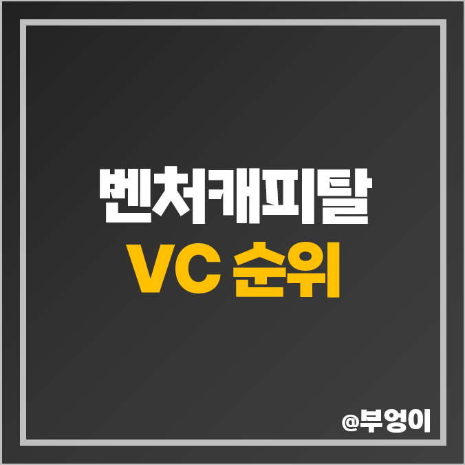 국내 벤처캐피탈 VC 순위 종류 자산 부채 자본 순이익 건전성 국내 벤처캐피탈 VC 순위 종류 자산 부채 자본 순이익 건전성