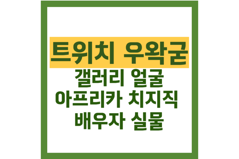 우왁굳 갤러리 얼굴 아프리카TV 치지직