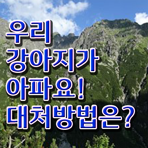  강아지 열날때 증상 대처방법 고민이시라고요 .