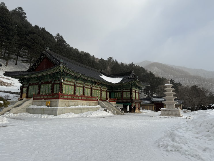  [강원 평창] 세조와의 일화가 전해지는 오대산 상원사