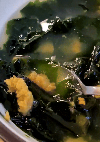 제주 대평리맛집, 해조네! 보말과 성게요리의 환상적 아침식사 후기