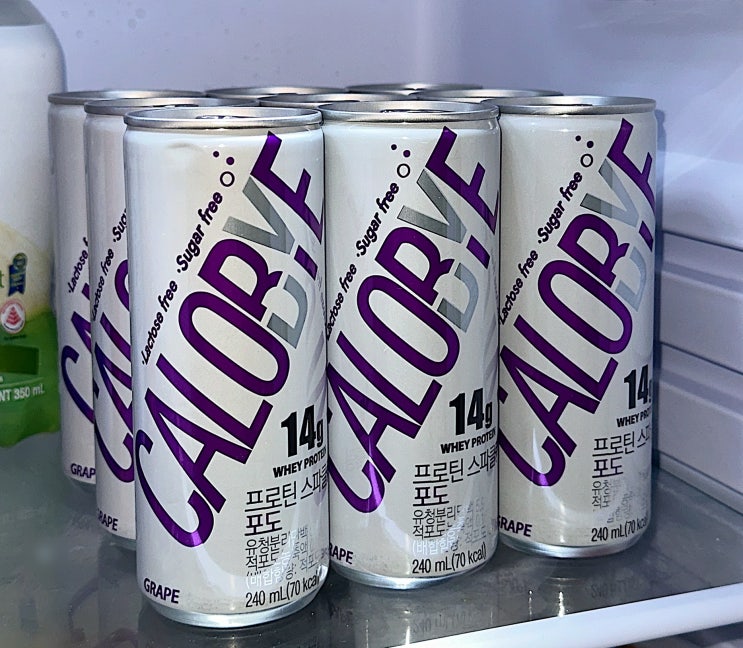  WPI 프로틴 음료 청량한 칼로바이 프로틴 스파클링 구매 후기