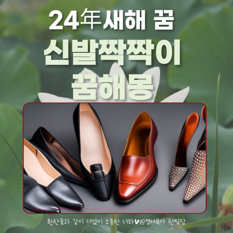 신발짝짝이 꿈 해몽 24년도 새해 꿈
