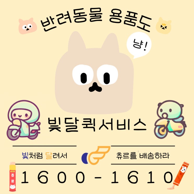  [대전퀵서비스] 반려동물용품도 빛달퀵으로 집 앞까지 간편하게