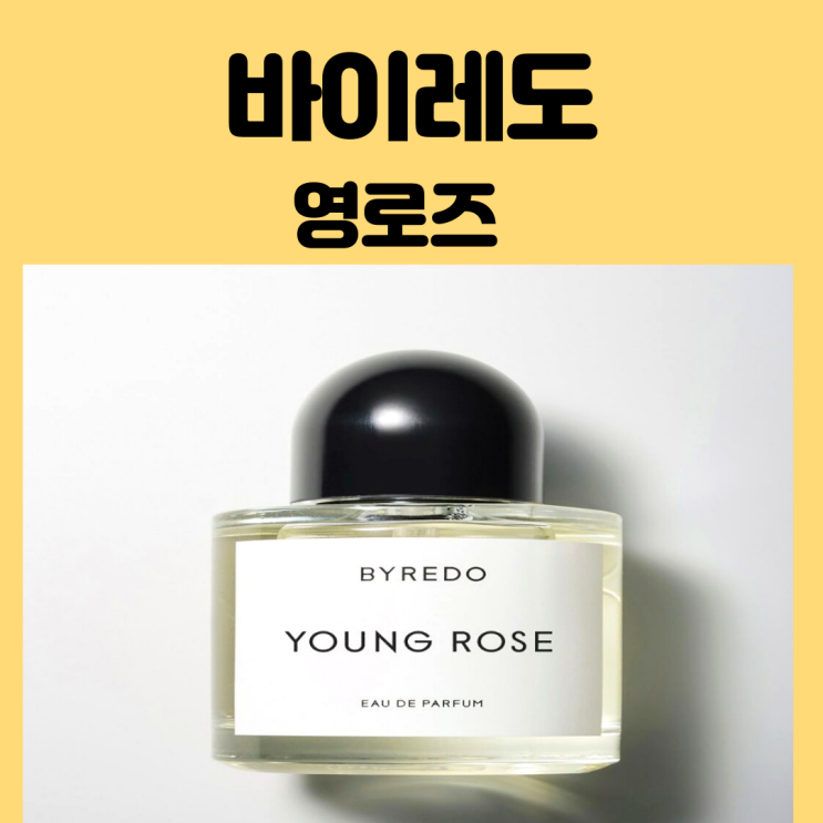  바이레도 영로즈 장미 향수의 정석  완벽 분석