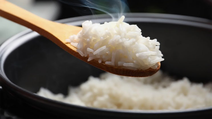 현미밥 채식 맛도 훌륭하게 어떻게 식사할까?