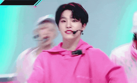 私のSEVENTEEN ディノへの入沼大叙事詩