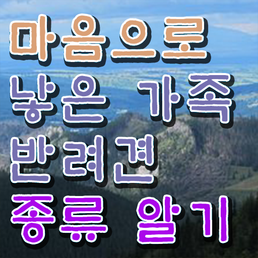  반려동물 관리사 학원 하는일 알아보셨나요 .