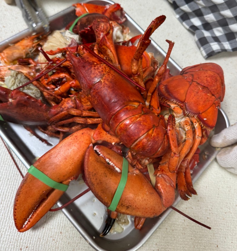내돈내산 #키친아트 #편백나무찜기 후기 #편백나무찜요리