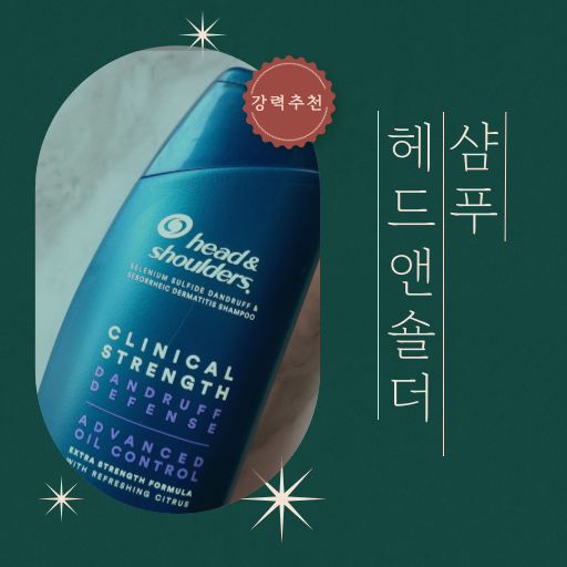 헤드앤숄더 비듬 샴푸 지성 머리에게 강력추천