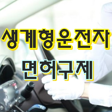  생계형 운전자 음주 면허취소 어떻게 방법이 없나요?